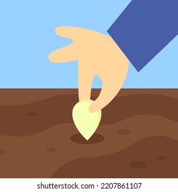 plant seeds in the ground