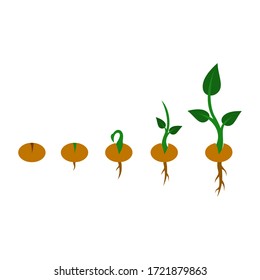 10,747 Seed clipart Images, Stock Photos & Vectors | Shutterstock