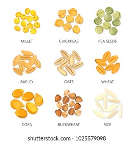 Plant seeds isolated icons. Barley and wheat, common oat and corn, rice and buckwheat, millet and pea, chickpea. Grain and beans of different agricultural species. Cereal harvest and vegetarian theme