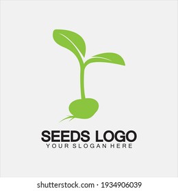 Plant Seeds Logo Concept Template Vector.growing seed logo.Seed grow Vector logo illustration design template