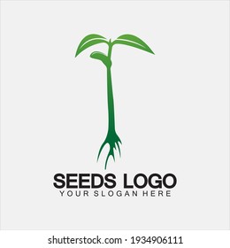 Plantilla de concepto de logotipo de semillas de plantas.logotipo de semilla de cultivo.plantilla de diseño de ilustración de logotipo de vector de crecimiento de semillas