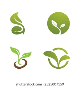 Plant Seeds Logo Vector Concept Template 
