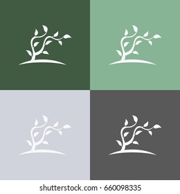 Plant. Set of  abstract tree logo. Foliate element. 