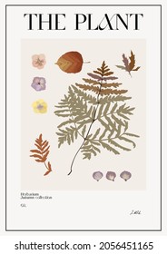 The plant. Set Autumn flower market poster. Herbarium