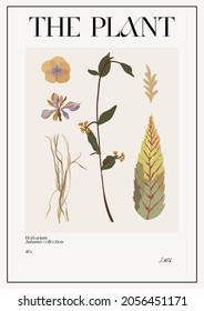 The plant. Set Autumn flower market poster. Herbarium