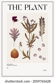 The plant. Set Autumn flower market poster. Herbarium