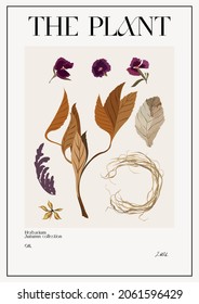 The plant. Set Autumn flower market poster. Herbarium