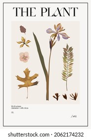 The plant. Set Autumn flower market poster. Herbarium