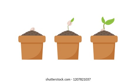 Plant Set Cartoon Vector Free Space Stock Vector (Royalty Free ...