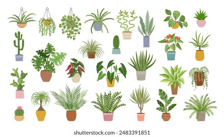 Plant set, flower in pot. Alocasia, begonia, green houseplant. Indoor pot planter, palm and aloe in vase. Different flowerpot, jungle urban. Home garden, ECO city. Vector cartoon flat illustration