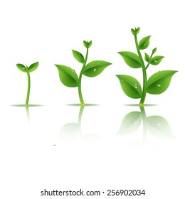 Plant Set With Gradient Mesh, Vector Illustration