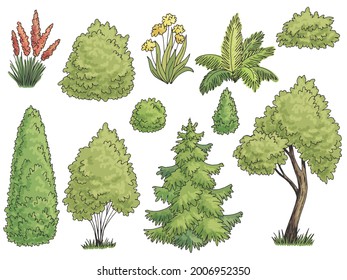 Plant set graphic garden bush color side view isolated illustration vector