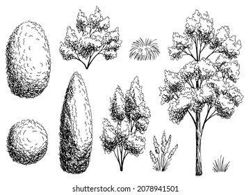 Juego de plantas gráfico jardín arbusto visión del lado blanco negro ilustración aislada vector 