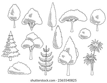 Plant set graphic garden bush black white side view isolated illustration vector 