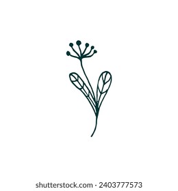 plant set with green color plant