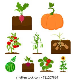 Plant set icons in cartoon style. Big collection of plant vector symbol stock illustration