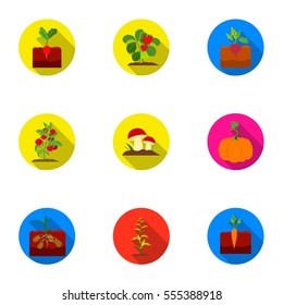 Plant set icons in flat style. Big collection of plant vector symbol stock illustration