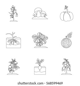 Plant set icons in outline style. Big collection of plant vector symbol stock illustration