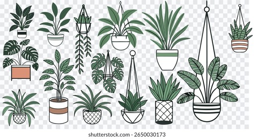  Plant Set Illustration | Botanical Collection of Leaves, Foliage, and Nature Elements
