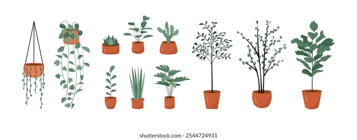 Ilustración de conjunto de plantas. Planta colgante. Plantas en maceta. Planta casera. Planta para decoración de interiores. Colección de plantas. 