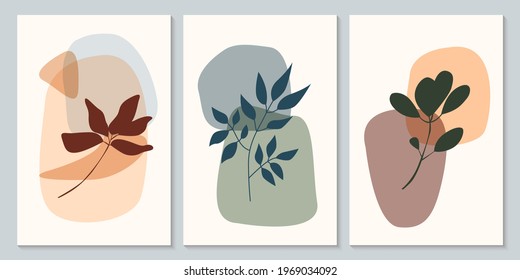 Plant set. Minimalist abstract plant branch pattern background collection.