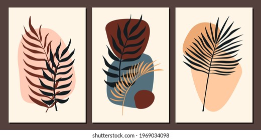 Plant set. Minimalist abstract tropical plant branch pattern background collection.