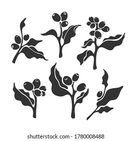 Plant set. Vector coffee branch. Art symbol. Tropical aroma bean, botanical tree, leaves. Nature collection isolated on white background. Organic arabica drink