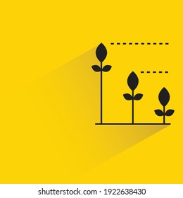 plant with shadow on yellow background