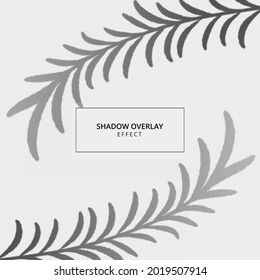 Plant shadow overlay effect on gray background 