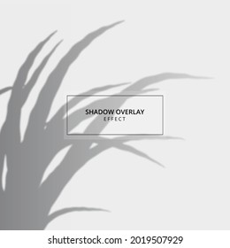 Plant shadow overlay effect on gray background 