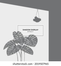 Plant shadow overlay effect on gray background 