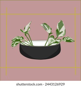 Plant in a shallow bowl with water