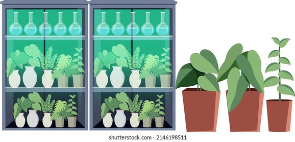 Plant shelves or green house illustration