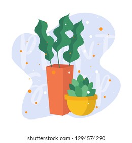 Plant shop template banner, plat design. Plants in pot isolated for greenhouse or garden planting market vector illustration. 