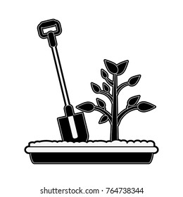 Plant and shovel
