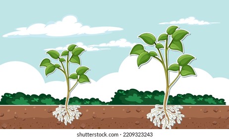 Plant showing roots in soil thumbnail design illustration