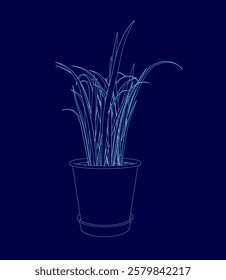 Plant is shown in a blue background. The plant is tall and thin