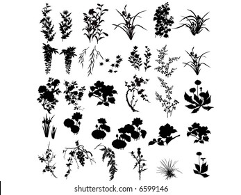 plant silhouette