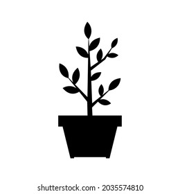 plant silhouette design in pot