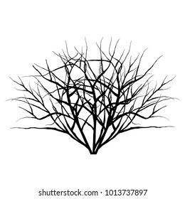plant silhouette icons on white background, tree and branches silhouette, detailed vector illustration.