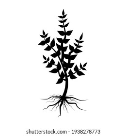 Plant silhouette with root. Tree vector icon. Nature background vector. Stock image. EPS 10.