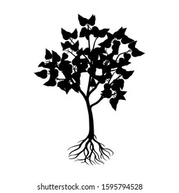 Plant silhouette and rooted leaves isolated on a white, vector background