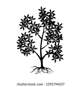 Plant silhouette and rooted leaves isolated on a white, vector background