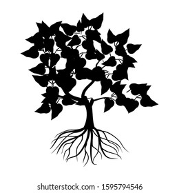 Plant silhouette and rooted leaves isolated on a white, vector background