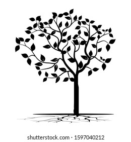 Plant silhouette and rooted leaves isolated on a white, vector background