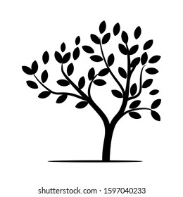 Plant silhouette and rooted leaves isolated on a white, vector background