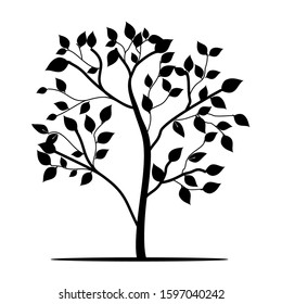 Plant silhouette and rooted leaves isolated on a white, vector background