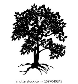 Plant silhouette and rooted leaves isolated on a white, vector background