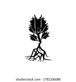 Plant silhouette and roots on a white background. vector illustration