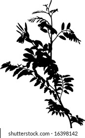 planta - elemento vector de silueta para el diseño
